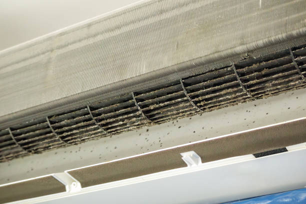 Best Commercial Air Duct Cleaning  in Largo, MD